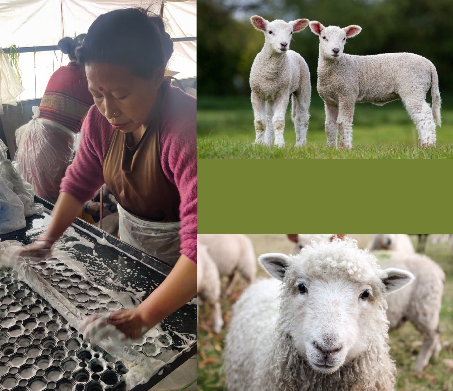 DreadLab - Doppelendige Gefilzte Dreadlocks aus Merinowolle (24"/ 60cm)